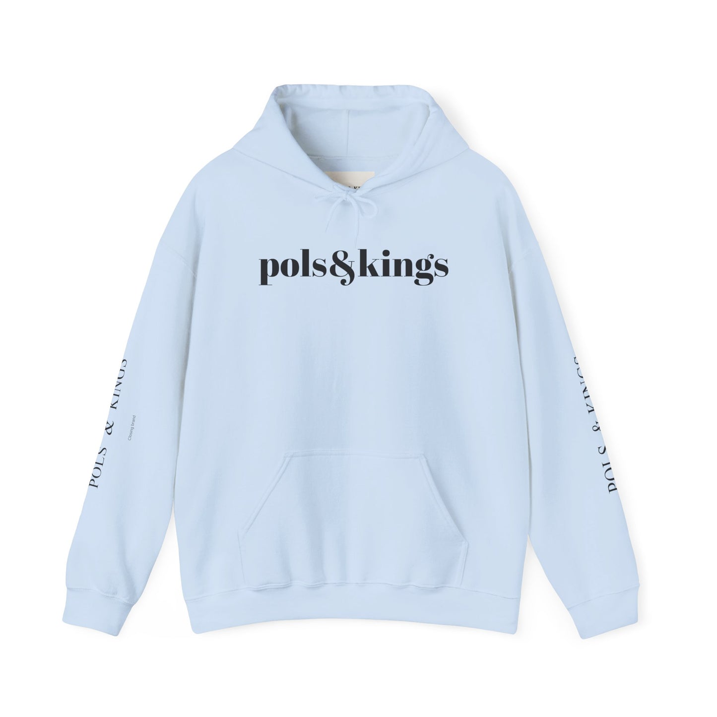 Playful Tiger Graphic Unisex Hoodie - Cool Blue Artwork